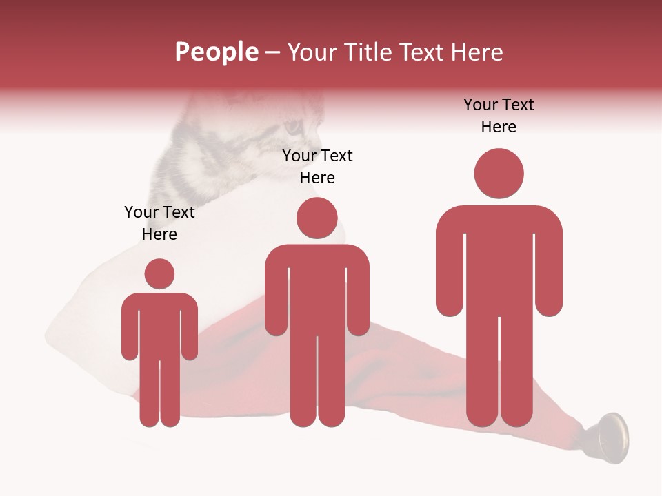 Adorable Feline Pet PowerPoint Template