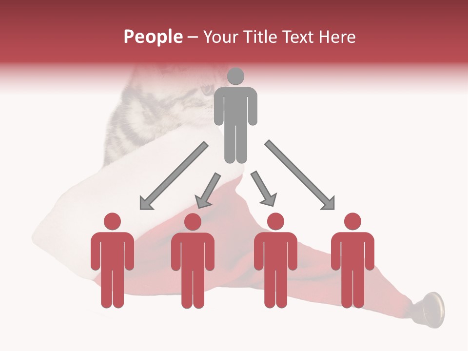 Adorable Feline Pet PowerPoint Template