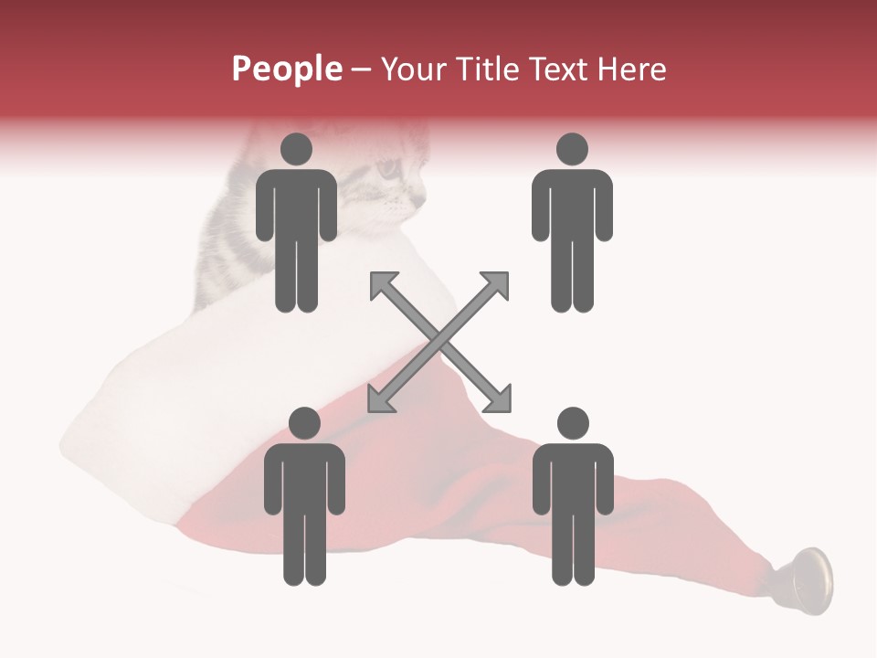 Adorable Feline Pet PowerPoint Template