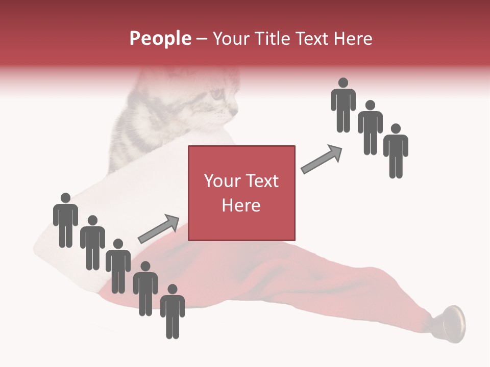 Adorable Feline Pet PowerPoint Template