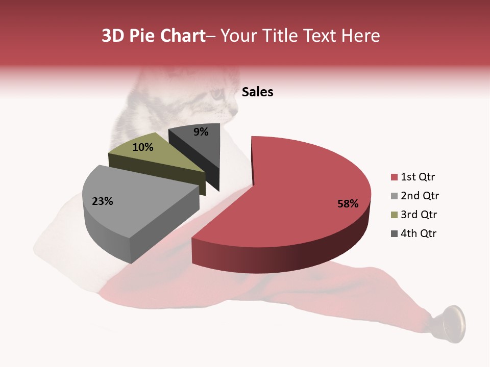 Adorable Feline Pet PowerPoint Template