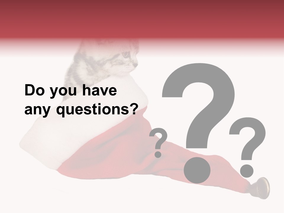 Adorable Feline Pet PowerPoint Template