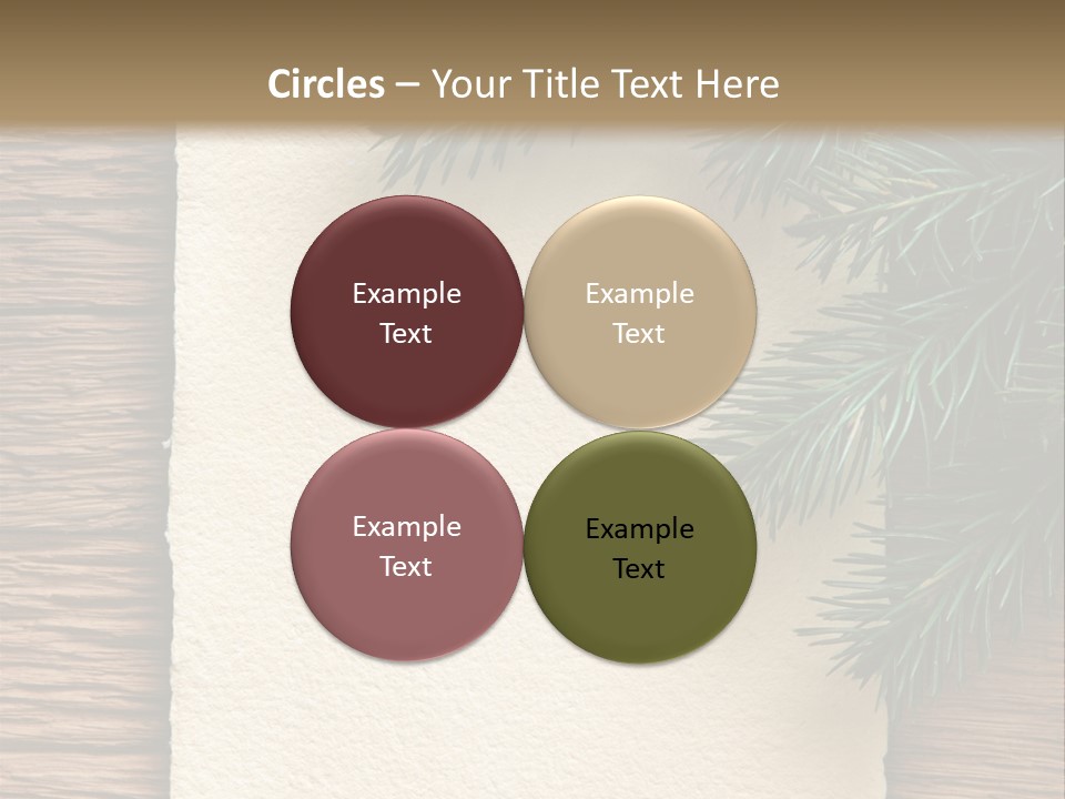 Decor Fir Wood PowerPoint Template