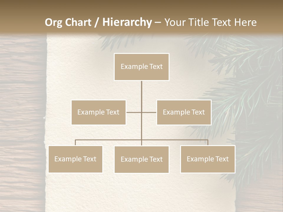 Decor Fir Wood PowerPoint Template