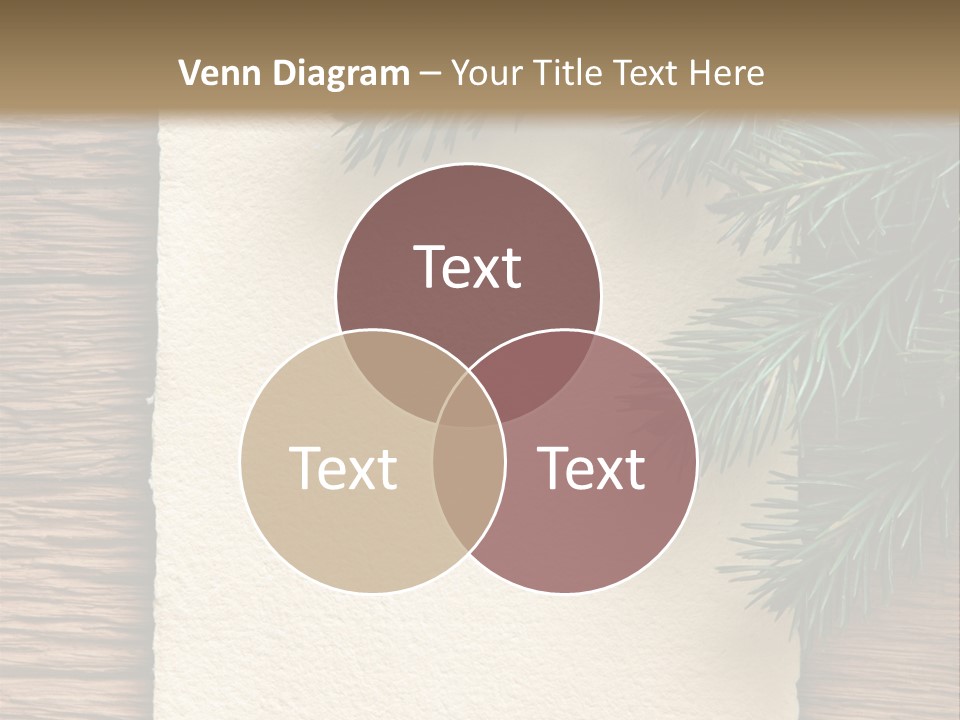 Decor Fir Wood PowerPoint Template