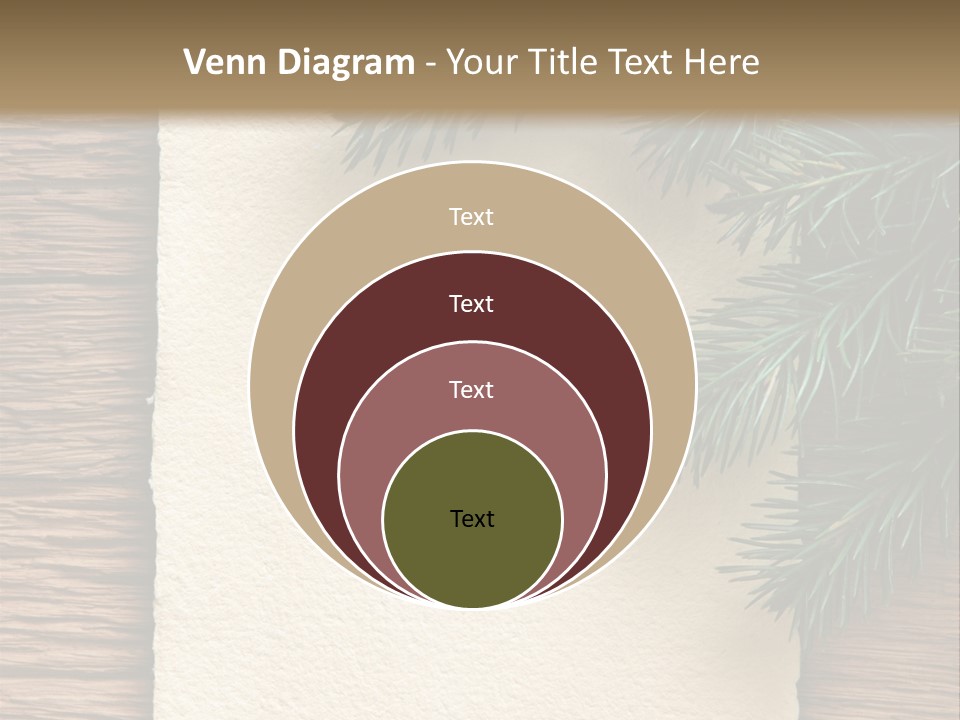 Decor Fir Wood PowerPoint Template