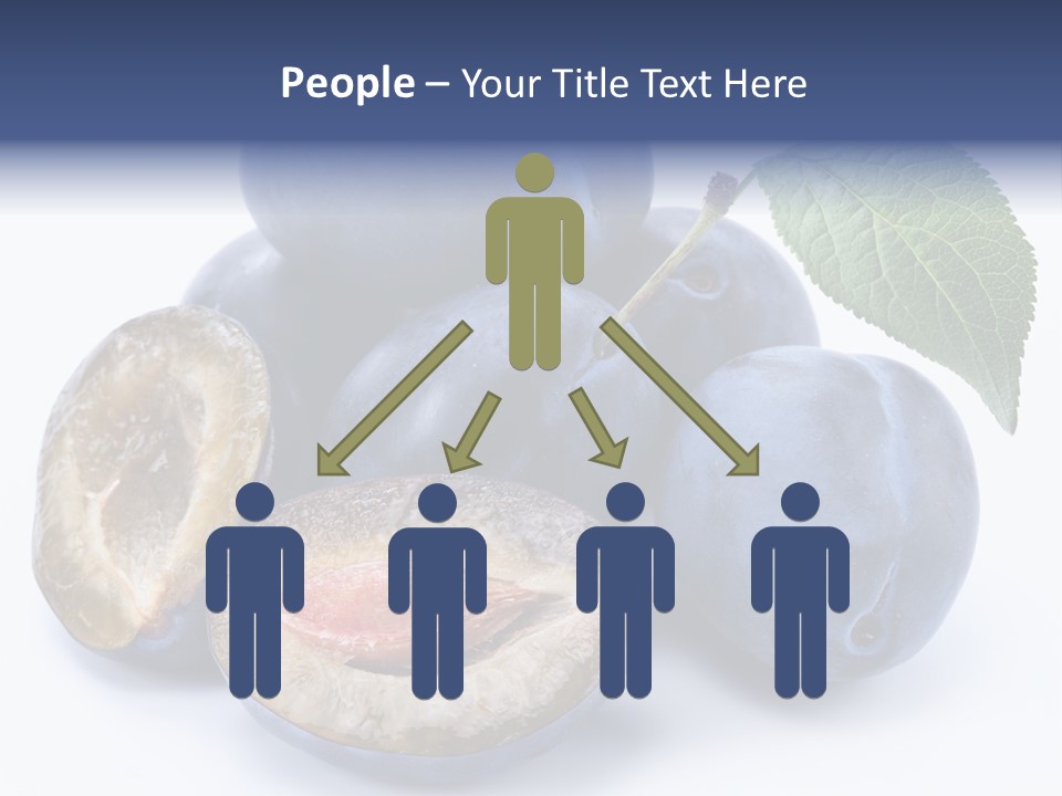 Leaf Organic Health PowerPoint Template