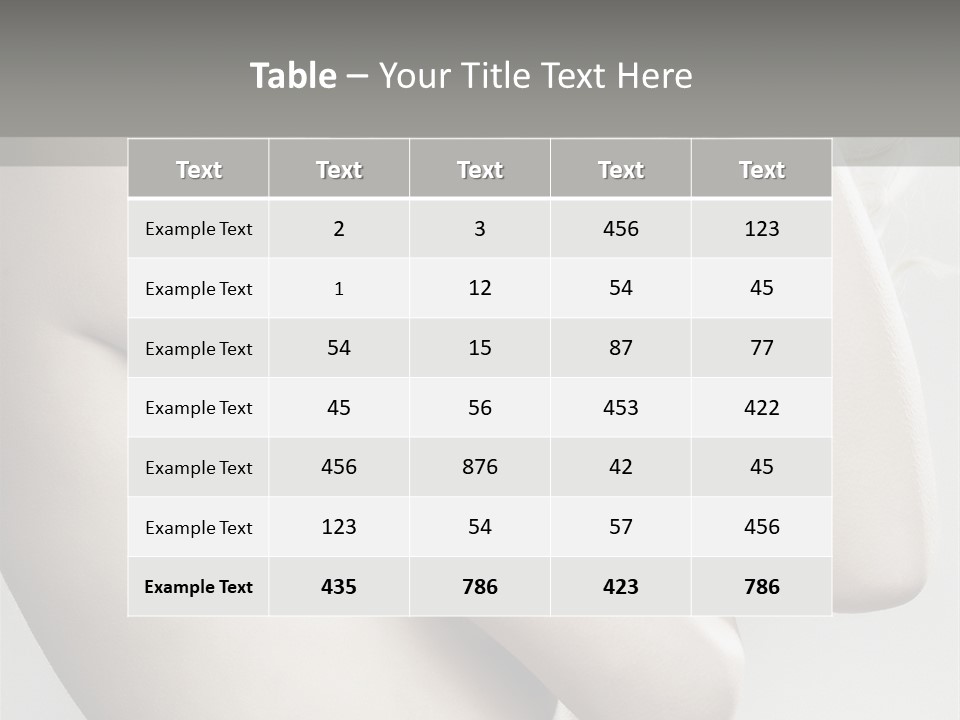 Fashion Studio Tenderness PowerPoint Template