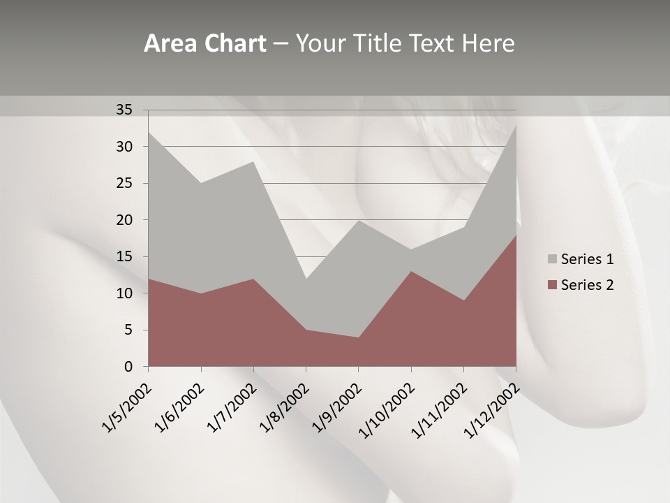 Fashion Studio Tenderness PowerPoint Template