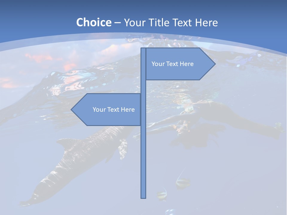 Marine Fish Legend PowerPoint Template