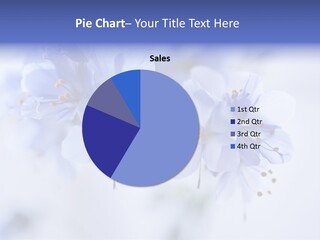 Season Light Violets PowerPoint Template