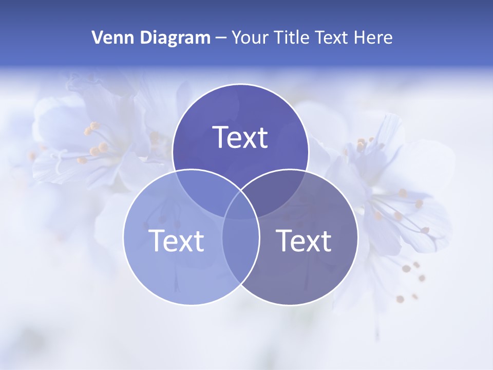 Season Light Violets PowerPoint Template