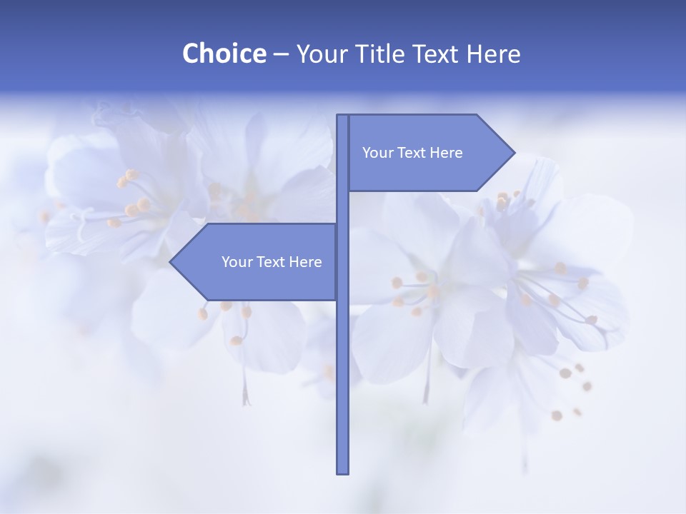 Season Light Violets PowerPoint Template