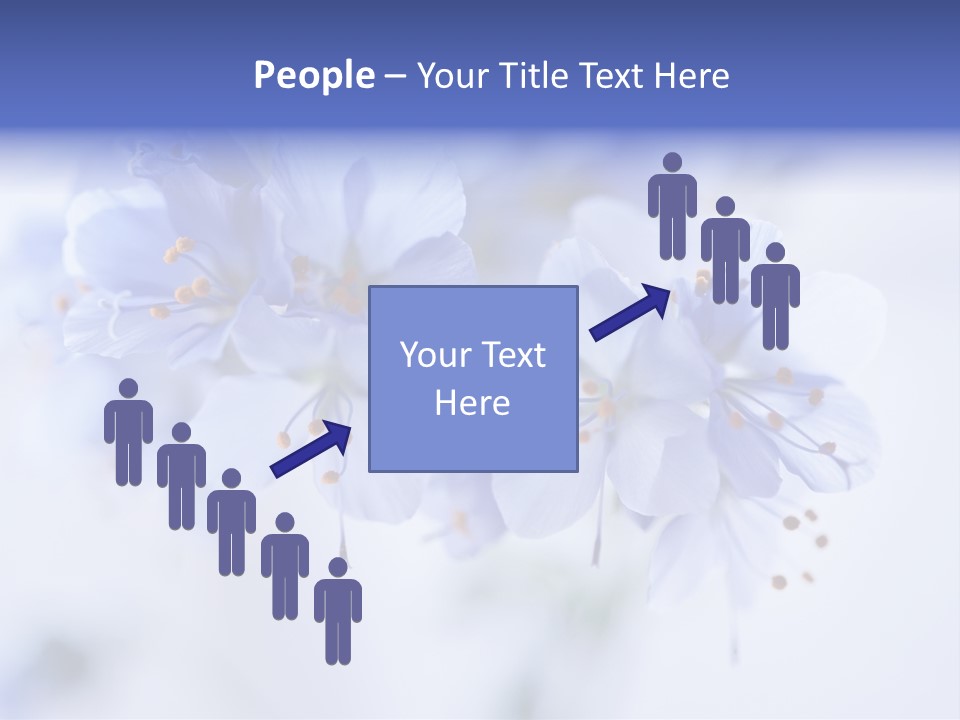 Season Light Violets PowerPoint Template