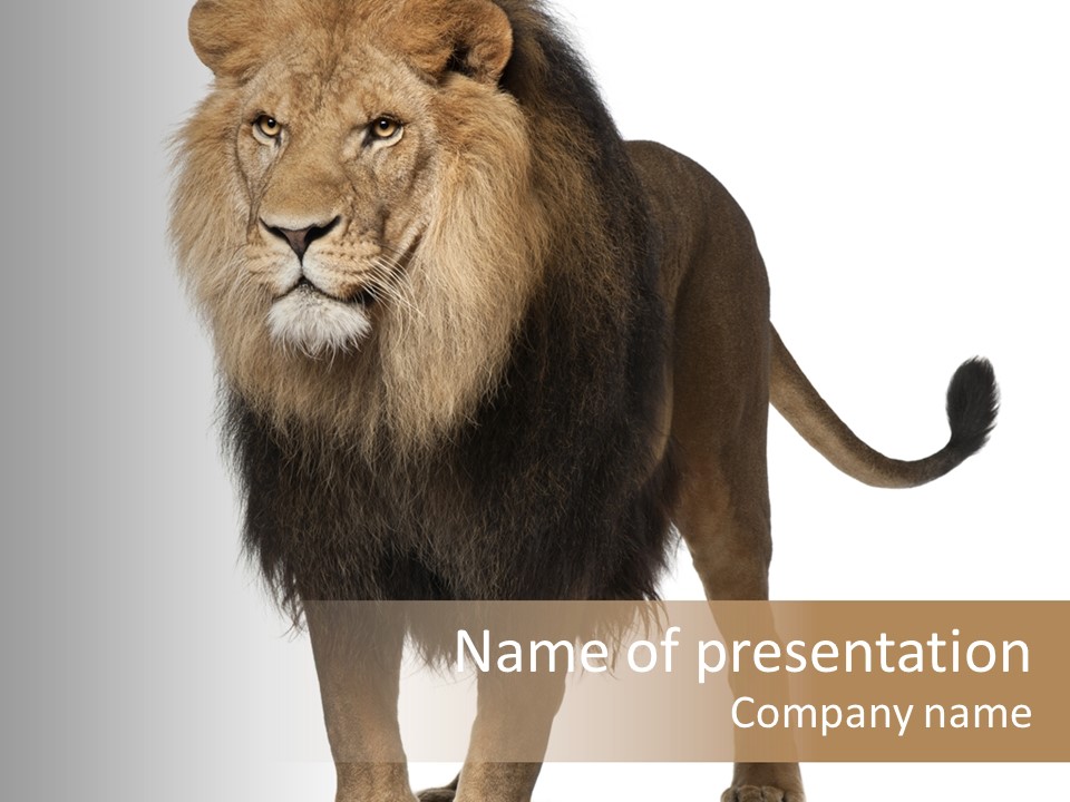 Cutout Animal Themes Looking PowerPoint Template