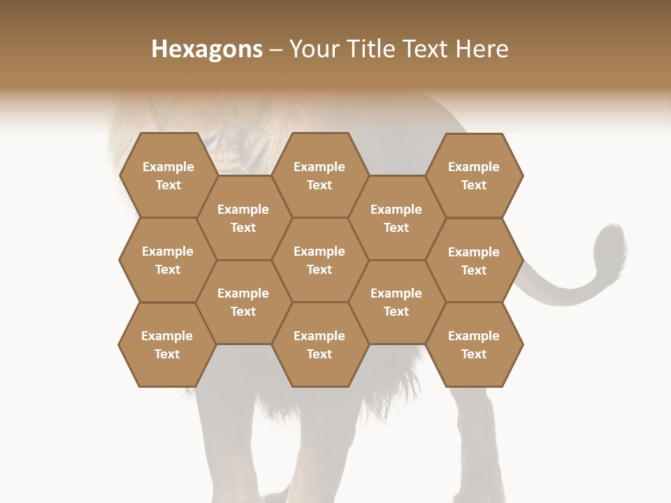 Cutout Animal Themes Looking PowerPoint Template