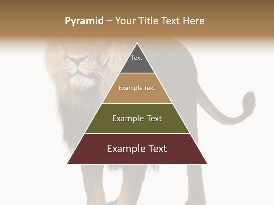 Cutout Animal Themes Looking PowerPoint Template