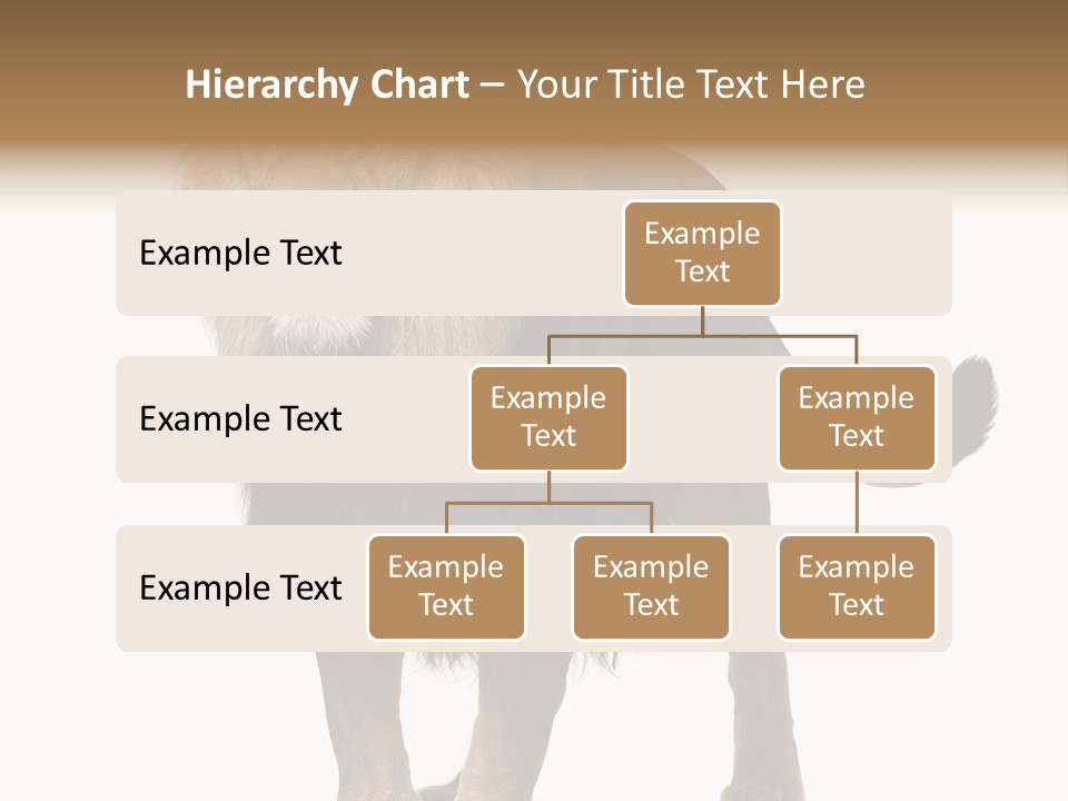 Cutout Animal Themes Looking PowerPoint Template