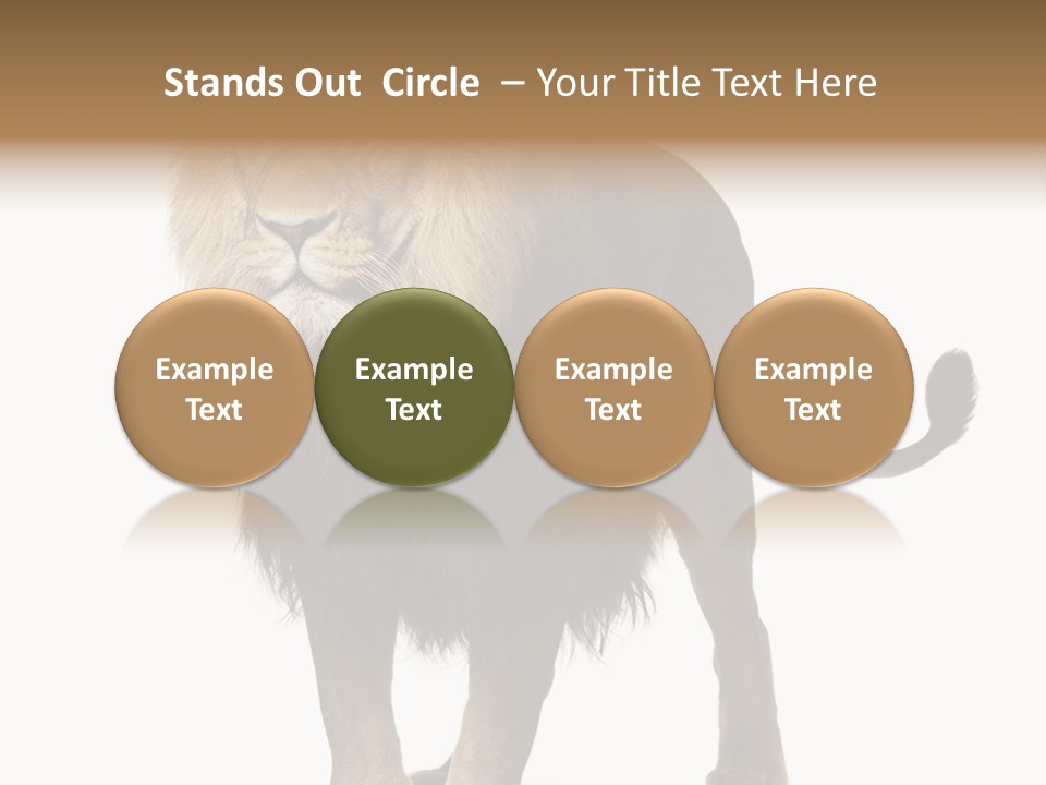 Cutout Animal Themes Looking PowerPoint Template