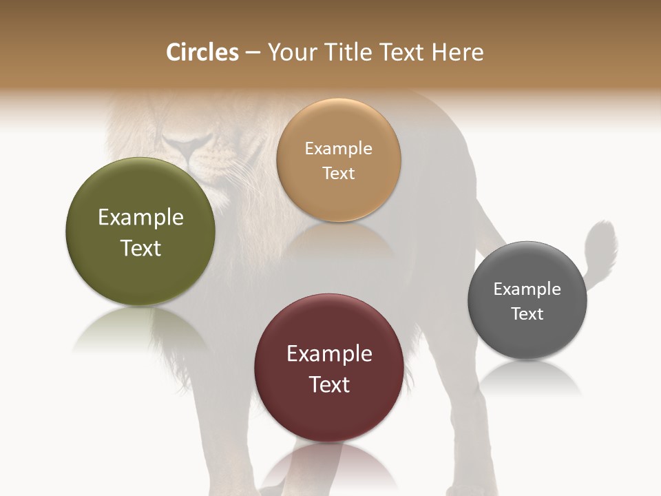 Cutout Animal Themes Looking PowerPoint Template