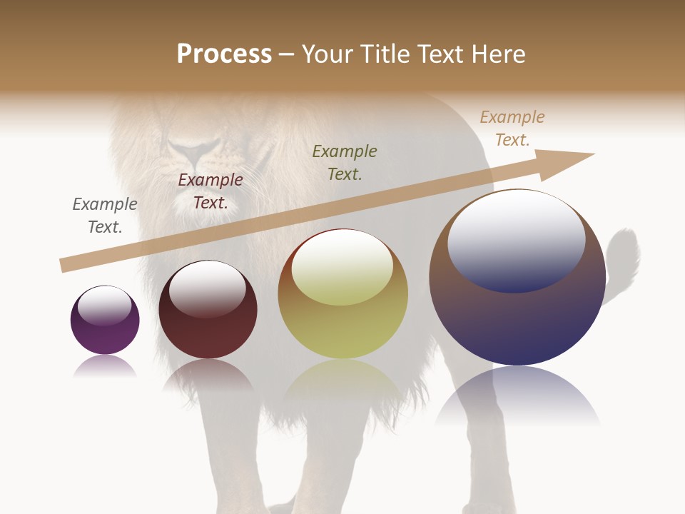 Cutout Animal Themes Looking PowerPoint Template