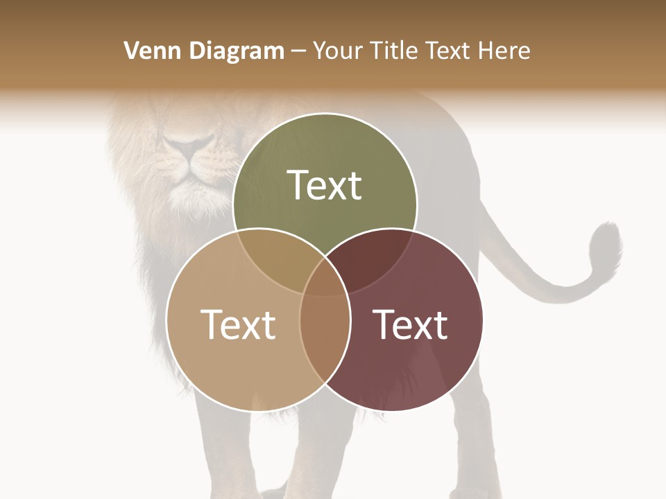 Cutout Animal Themes Looking PowerPoint Template