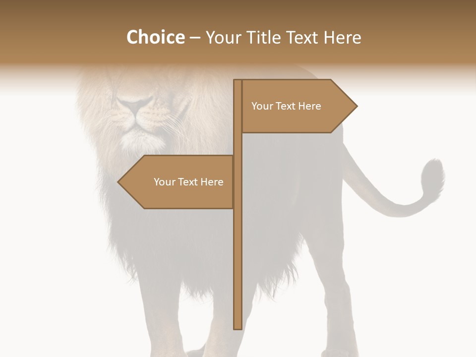 Cutout Animal Themes Looking PowerPoint Template