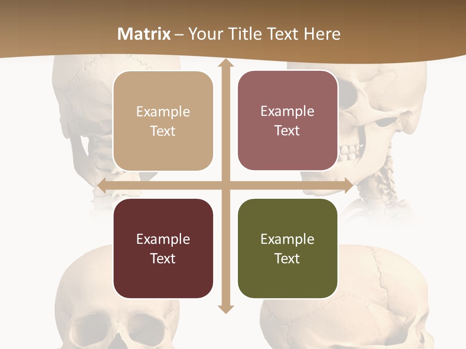 Teeth White Model PowerPoint Template