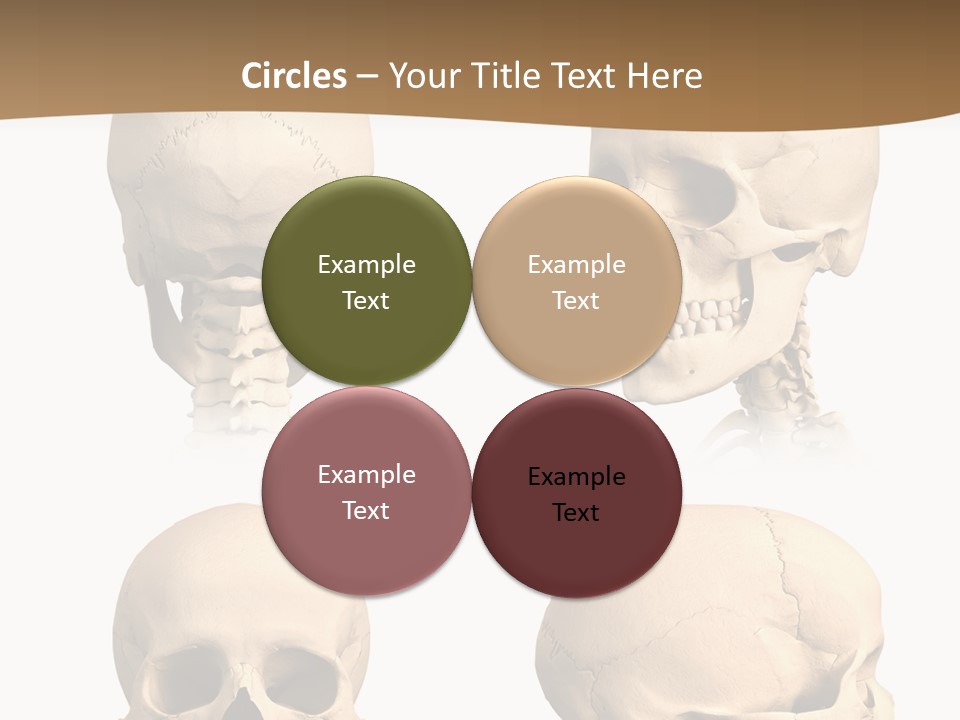 Teeth White Model PowerPoint Template