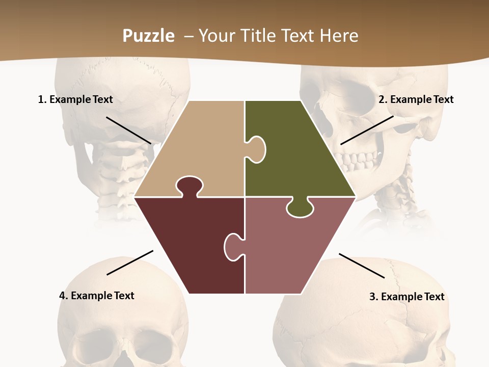 Teeth White Model PowerPoint Template