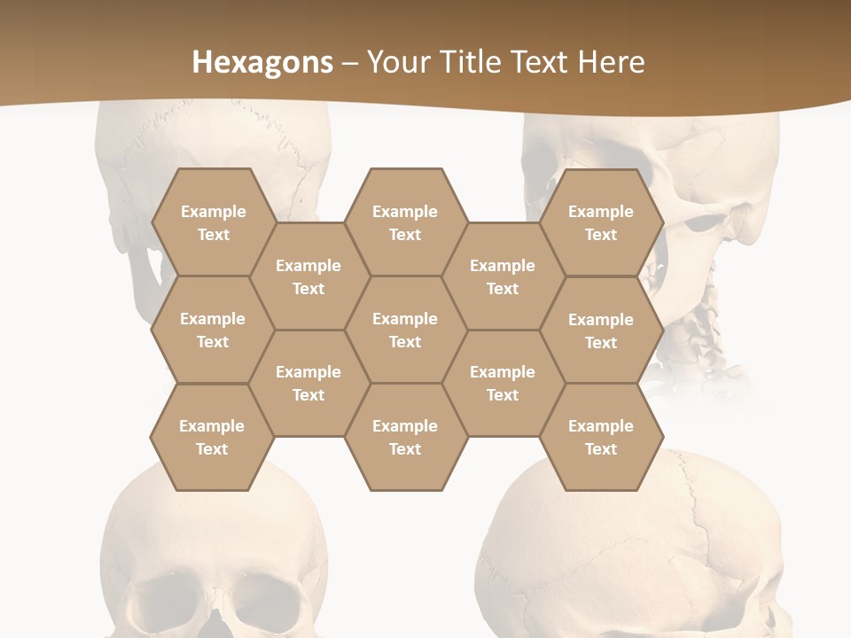 Teeth White Model PowerPoint Template