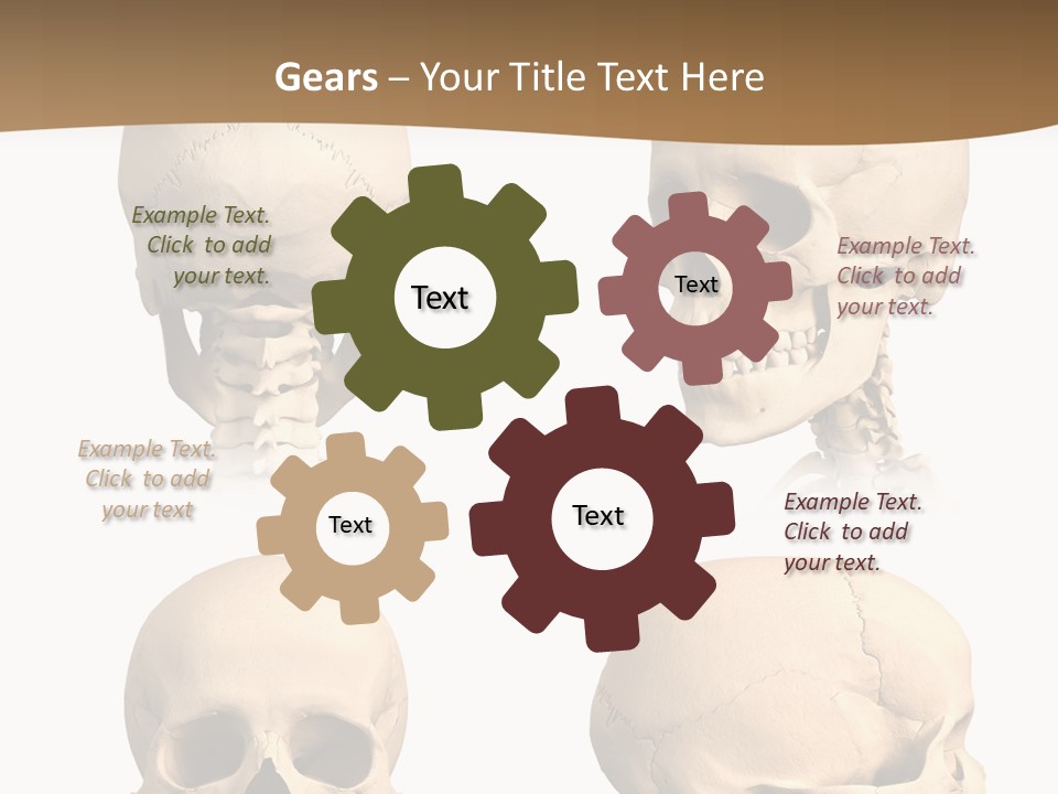 Teeth White Model PowerPoint Template
