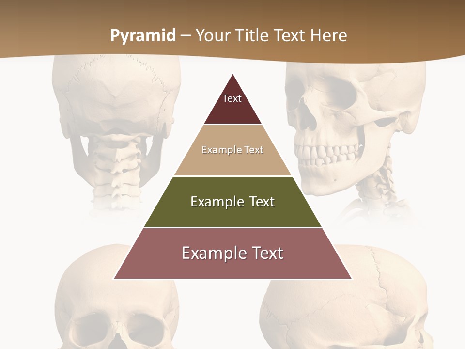 Teeth White Model PowerPoint Template