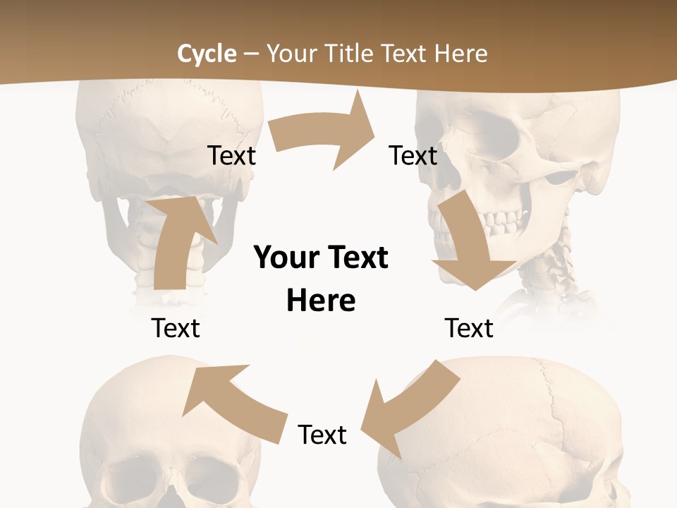 Teeth White Model PowerPoint Template