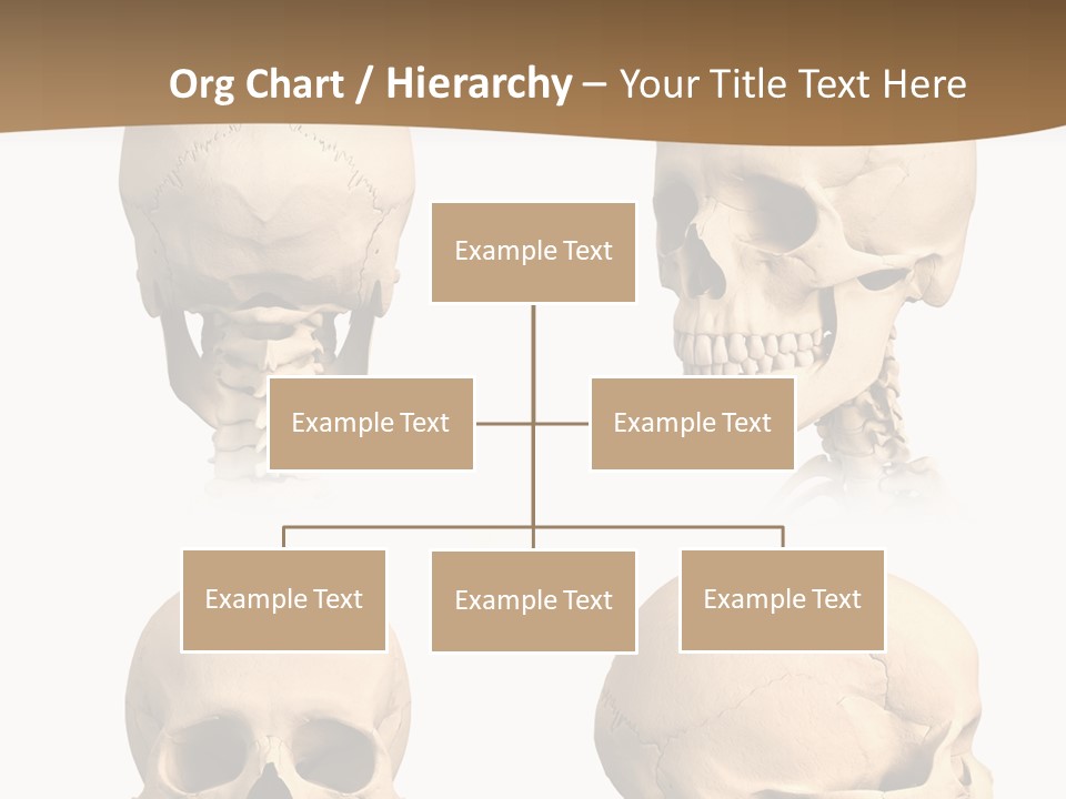 Teeth White Model PowerPoint Template