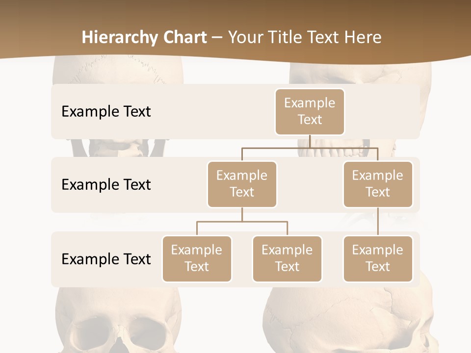 Teeth White Model PowerPoint Template