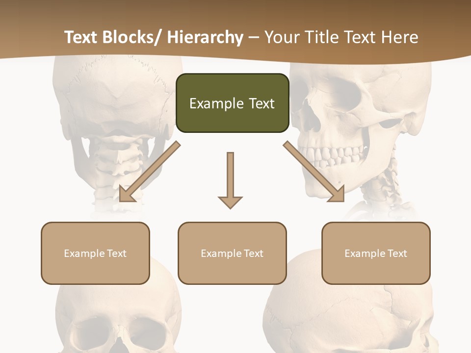 Teeth White Model PowerPoint Template