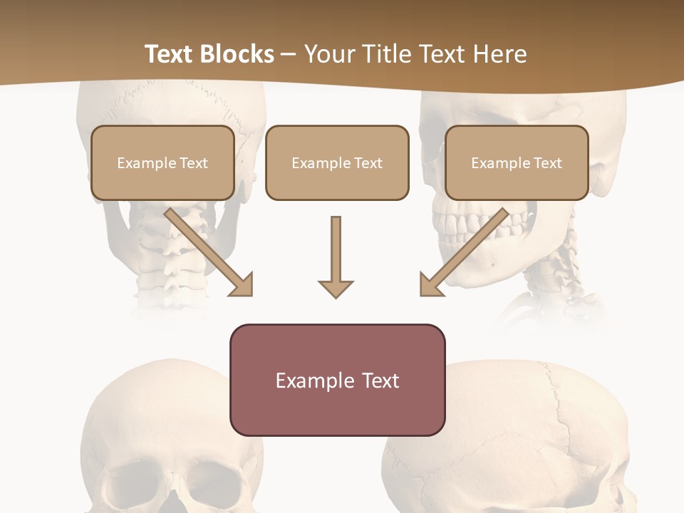 Teeth White Model PowerPoint Template