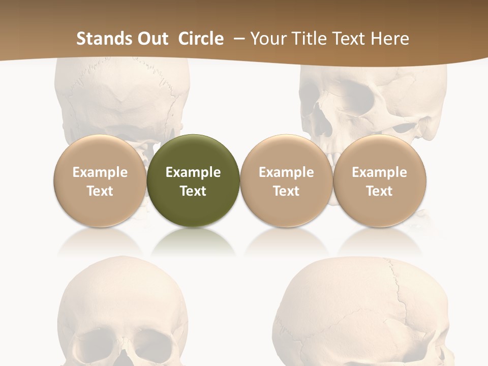 Teeth White Model PowerPoint Template
