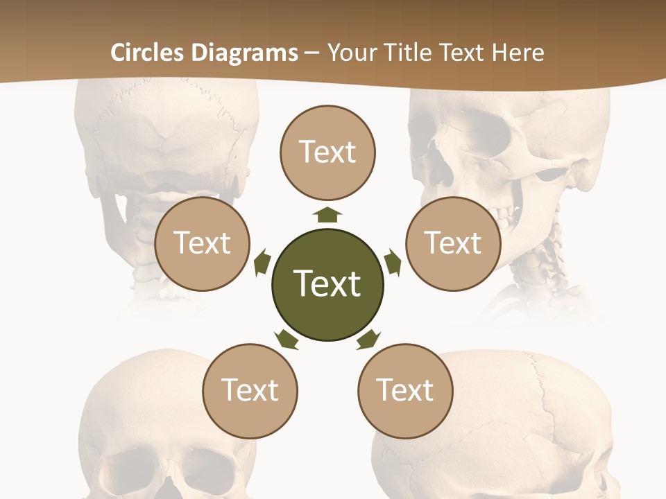 Teeth White Model PowerPoint Template