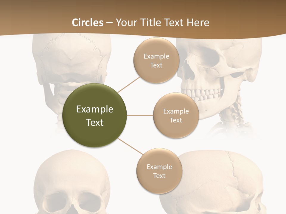 Teeth White Model PowerPoint Template