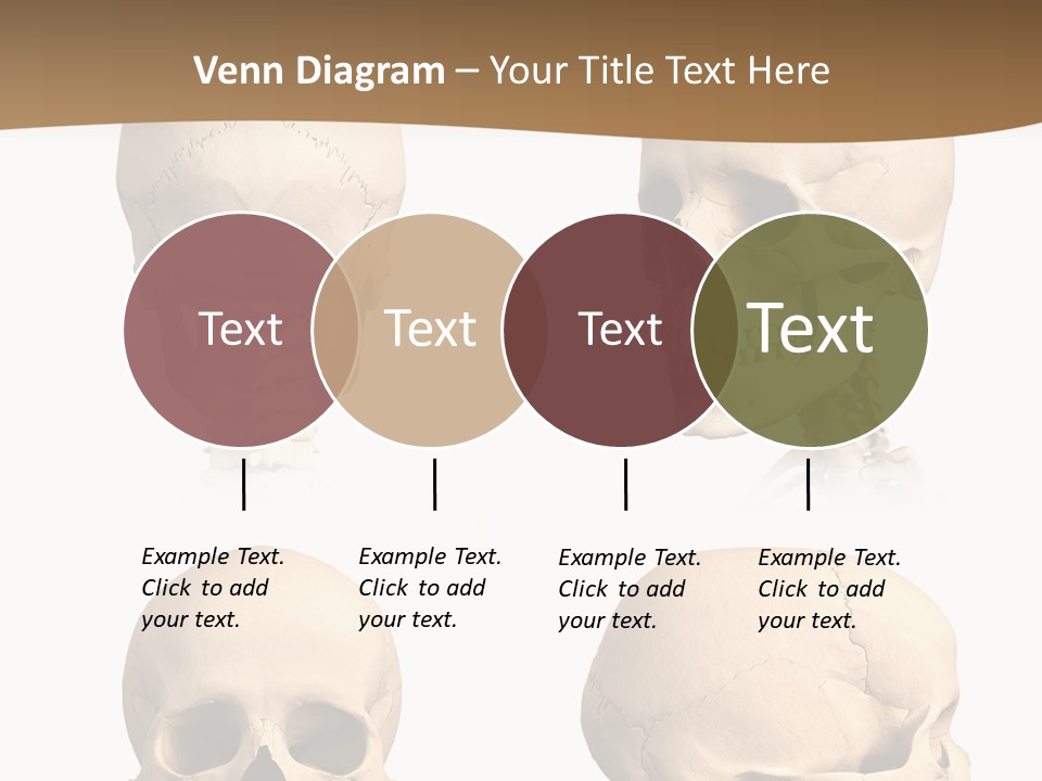 Teeth White Model PowerPoint Template