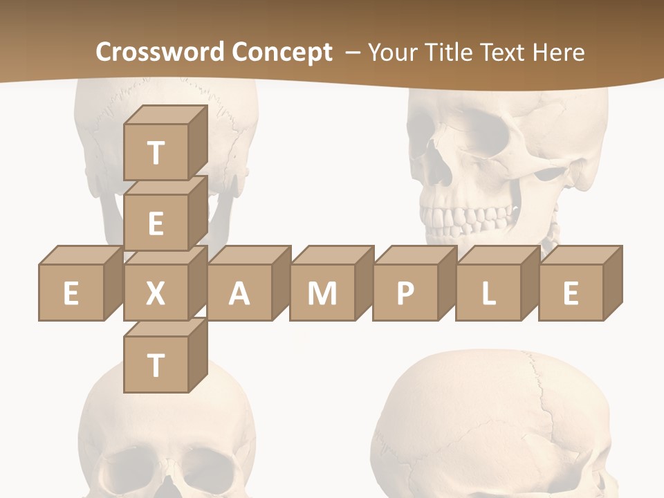 Teeth White Model PowerPoint Template