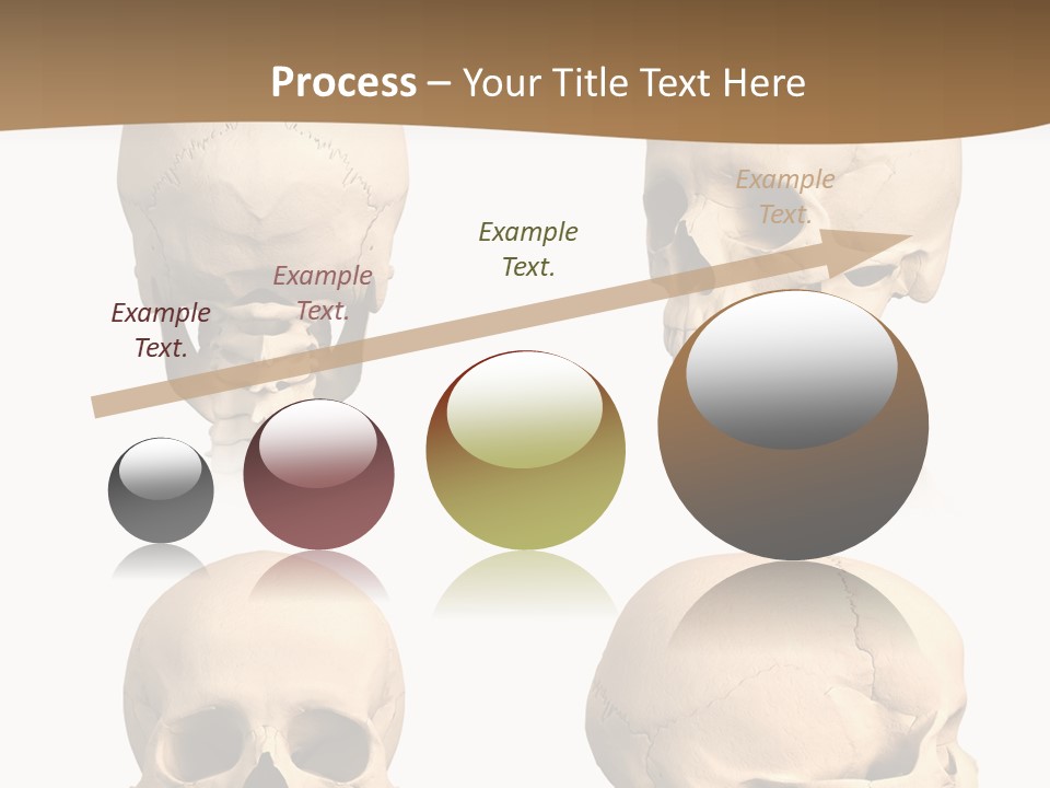 Teeth White Model PowerPoint Template
