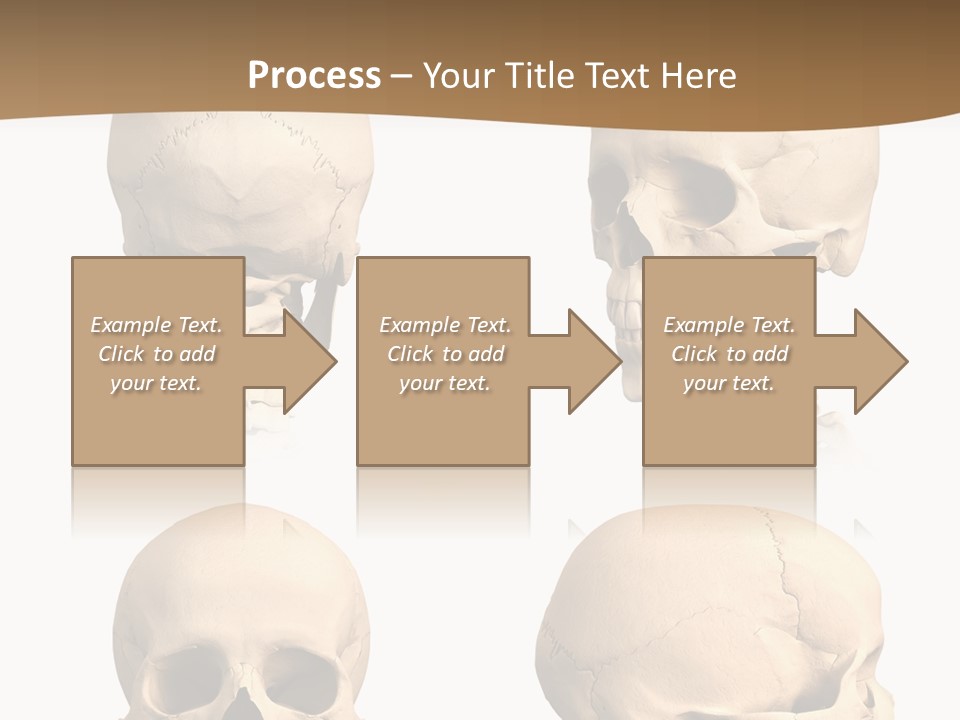 Teeth White Model PowerPoint Template
