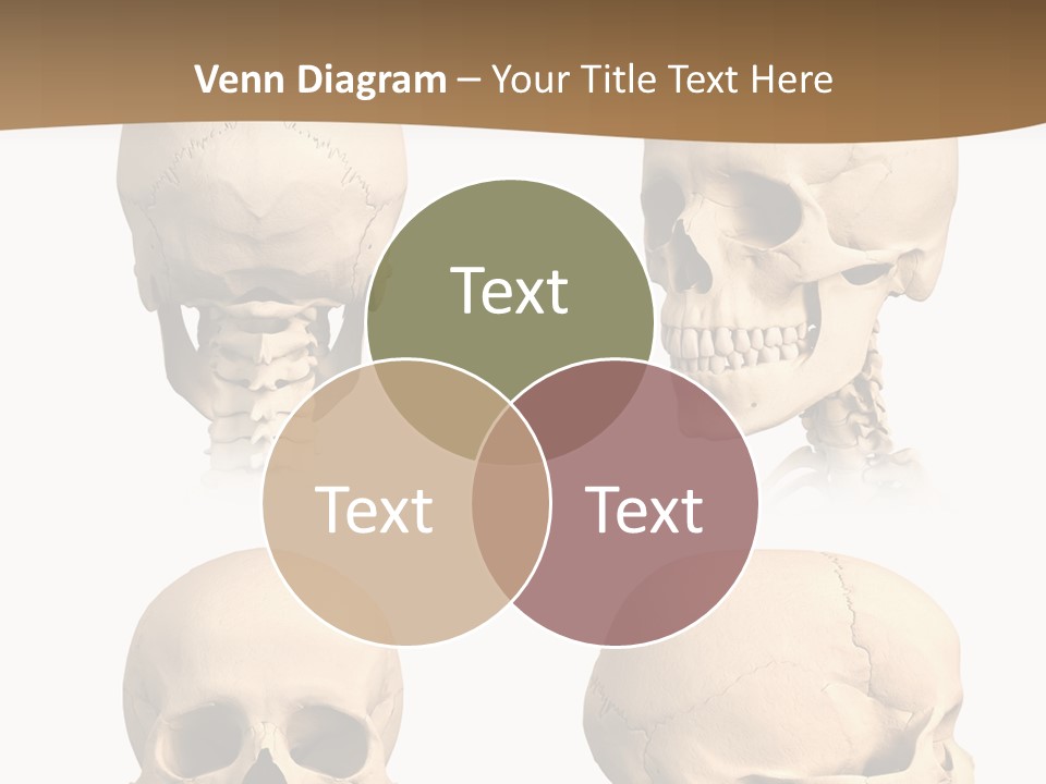 Teeth White Model PowerPoint Template