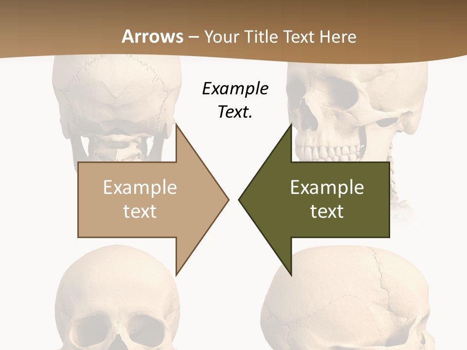 Teeth White Model PowerPoint Template