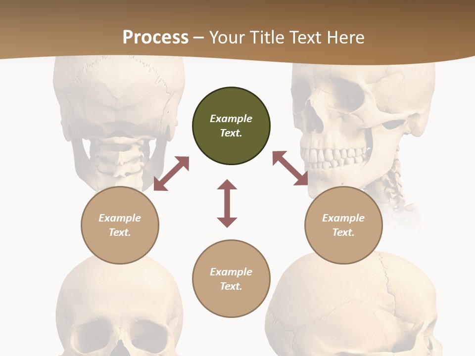 Teeth White Model PowerPoint Template
