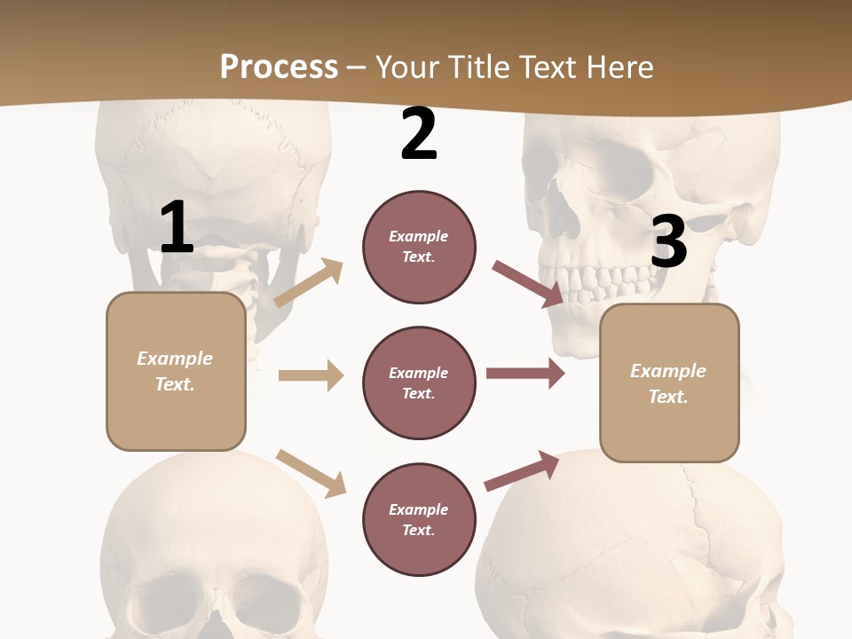 Teeth White Model PowerPoint Template