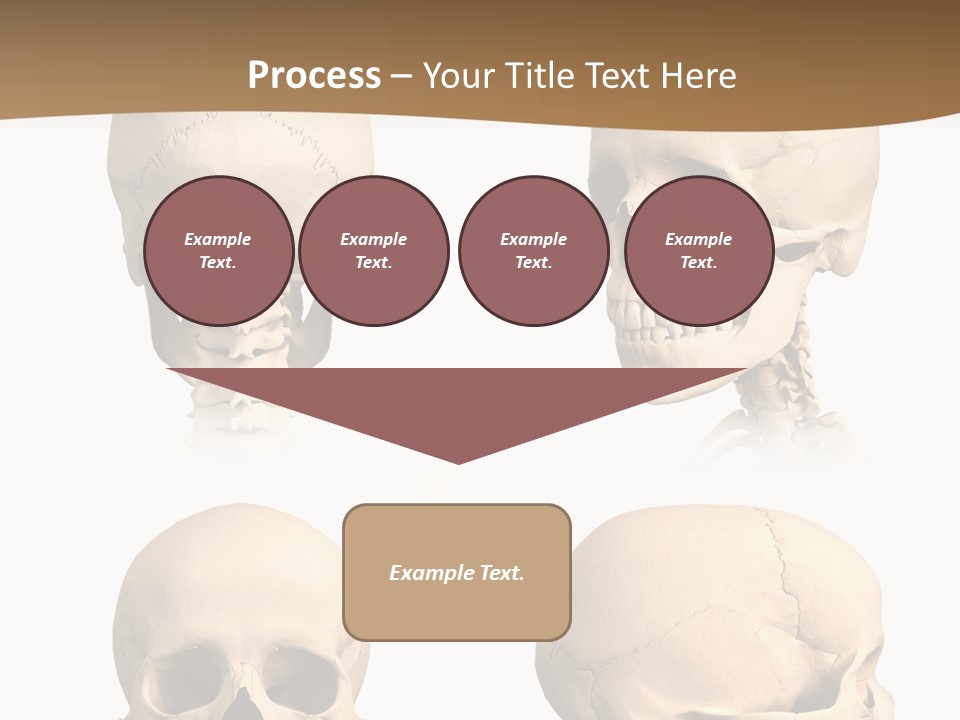 Teeth White Model PowerPoint Template